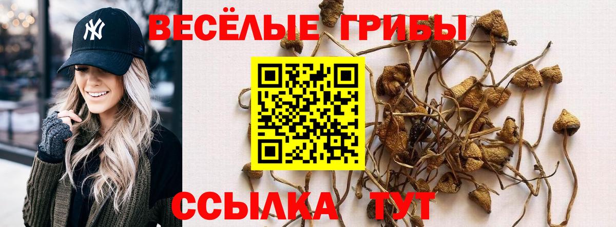 Галлюциногенные грибы MAGIC MUSHROOMS Ликино-Дулёво
