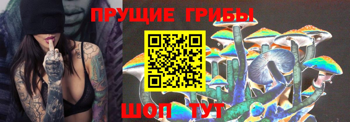 Ликино-Дулёво  Галлюциногенные грибы мицелий  Вход с VPN 